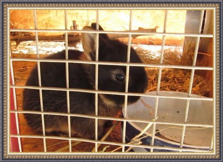 Az első szénaszál :)