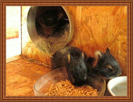 Az első felfedező út :)