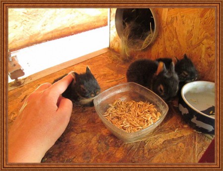 A mutatóujjam hosszabb, mint ők. :)))