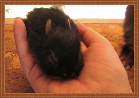 Fárasztó volt az első túra.